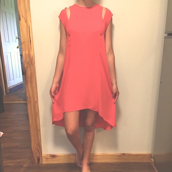 NWT BCBGMaxAzria pink dress size small - Picture 5 of 8